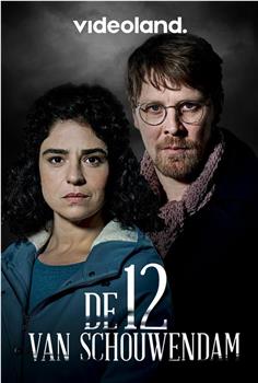 De 12 van Schouwendam Season 1观看