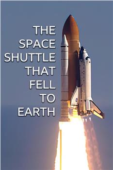 The Space Shuttle That Fell to Earth观看