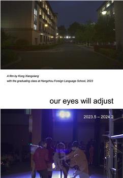 our eyes will adjust观看