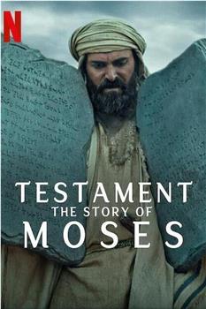圣约之外：摩西的故事观看