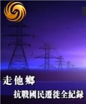 走他乡——抗战国民迁徙全纪录观看