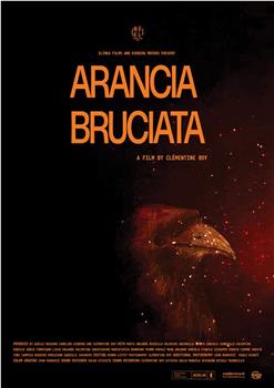 Arancia Bruciata观看