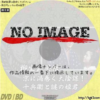 柳生武芸帳 京に渦巻く大陰謀！十兵衛と謎の姫君观看