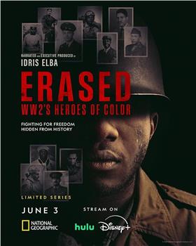 Erased: WW2's Heroes of Color Season 1观看