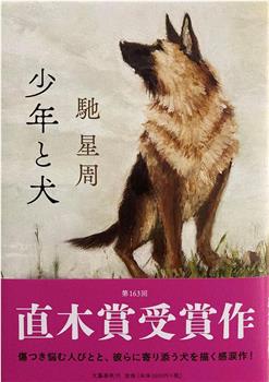 少年与犬观看