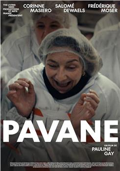 Pavane观看