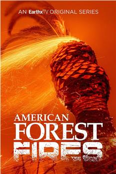 American Forest Fires: The Untold Story Season 1观看