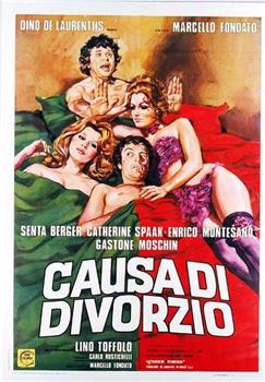 Causa di divorzio观看