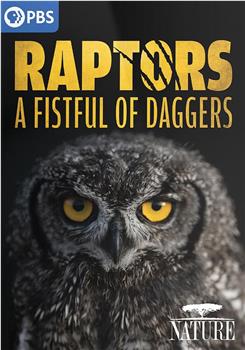 Raptors - A Fistful of Daggers观看