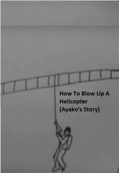 How to Blow Up a Helicopter观看