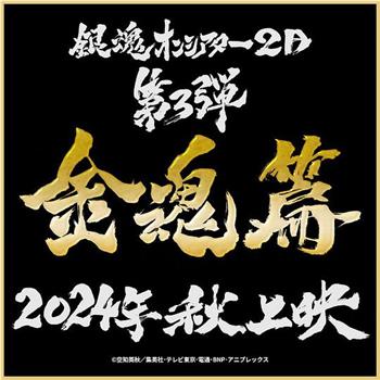 银魂2D剧场版：金魂篇观看