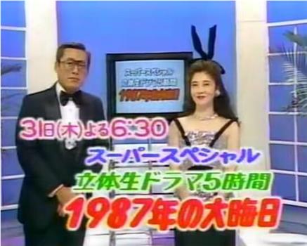 立体ドラマ５時間 1987年の大晦日观看