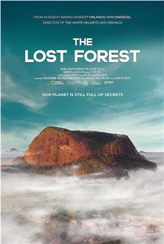 The Lost Forest观看