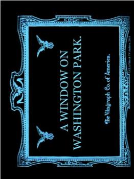 A Window on Washington Park观看