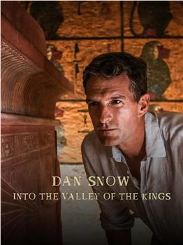 Dan Snow: Into the Valley of the Kings观看